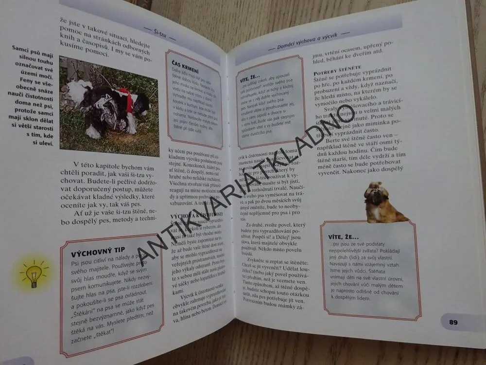 ŠI-TZU, JULIETTE CUNLIFFEOVÁ, **an