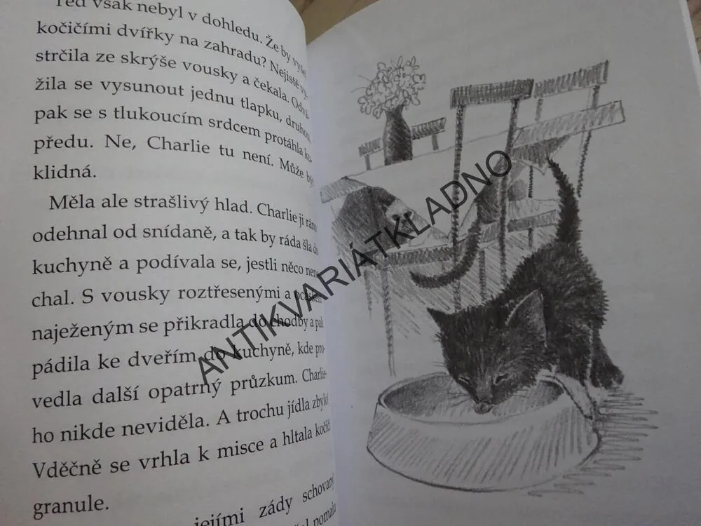 O ZTRACENÉ ROSIČCE, HOLLY WEBBOVÁ, **an