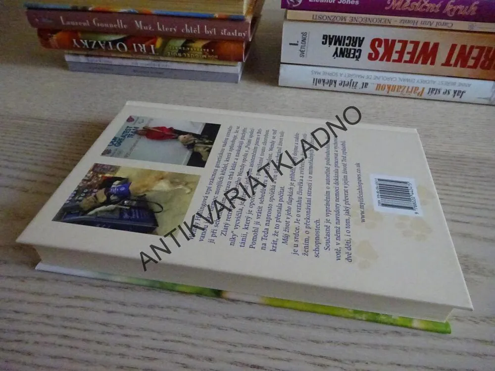 MŮJ ŽIVOT V JEHO TLAPKÁCH, WENDY HILLINGOVÁ, **an