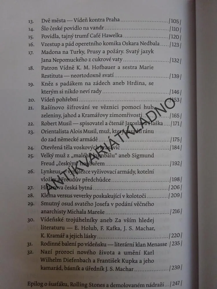ČEŠI PATŘÍ VÍDNI, JIŘÍ KAMEN, **an