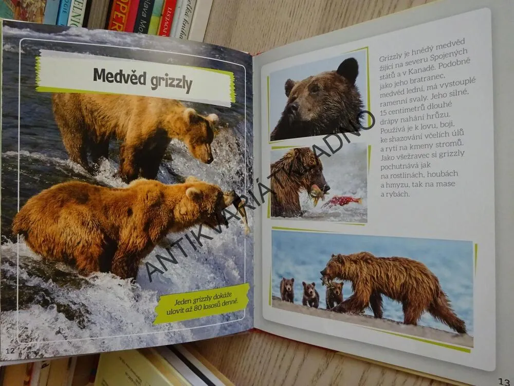 MISTŘI LOVU, NEOBYČEJNÁ ZVÍŘATA, **an