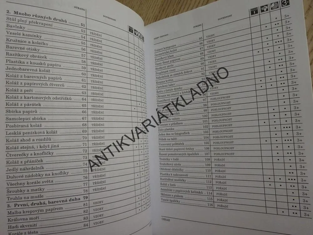 DALŠÍCH 199 VÝTVARNÝCH ČINNOSTÍ, MARYANN KOHLOVÁ, CINDY GAINEROVÁ, **an