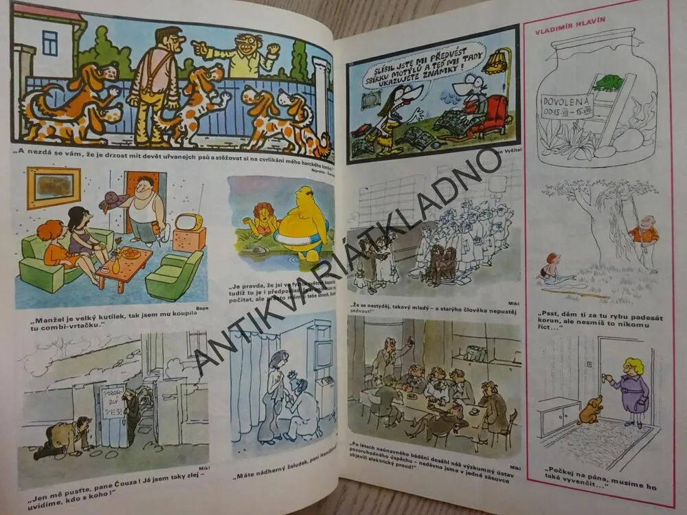 LETNÍ MAGAZÍN DIKOBRAZU