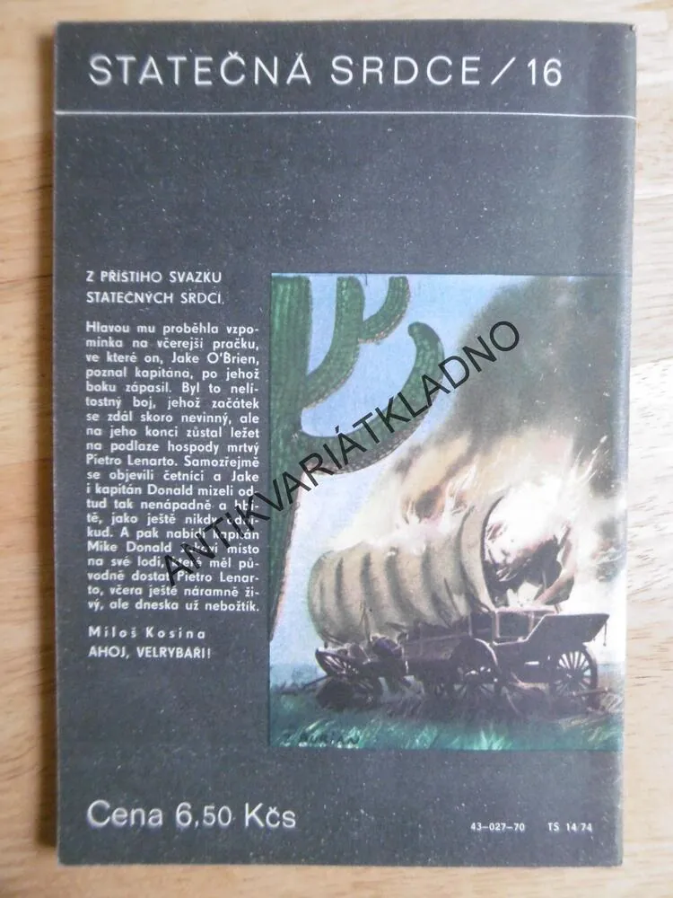 ZTRACENI V PUSTINĚ, FRANCIS BRET HARTE, BURIAN