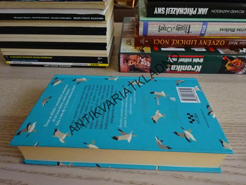 KNIHA SNŮ, NINA GEORGE, **an