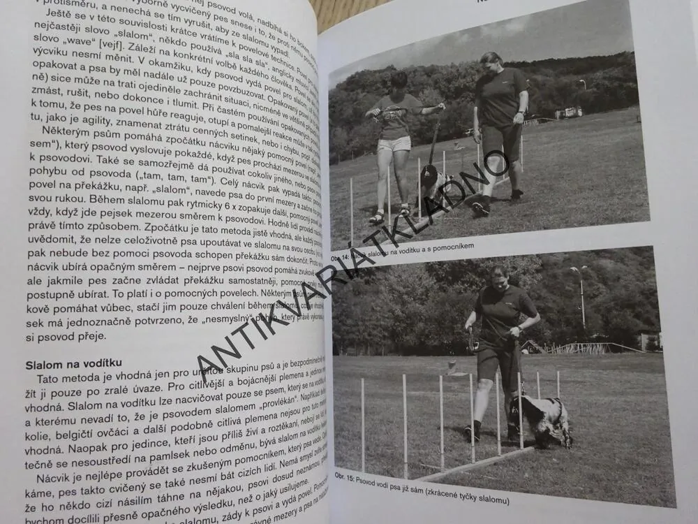 AGILITY, PRVNÍ KRŮČKY, DIVIŠOVÁ - VĚNOVÁNÍ S PODPISEM, PODEŠŤOVÁ, BENDA, **an