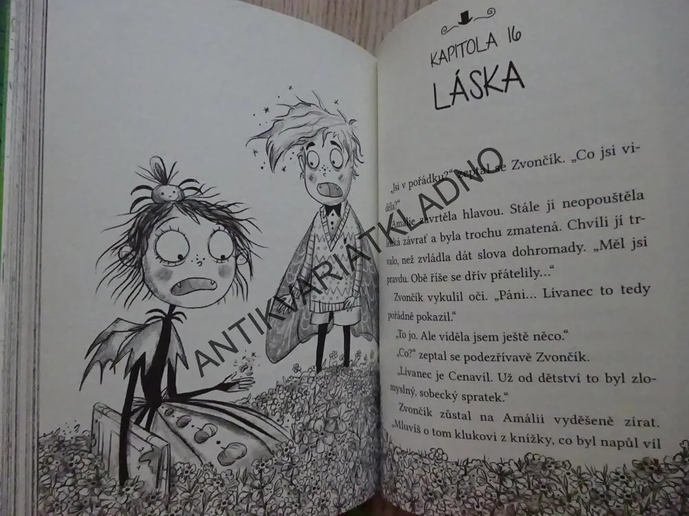 AMÁLIE ZUBATÁ A ZLODĚJ PAMĚTI, LAURA ELLEN ANDERSONOVÁ, **an