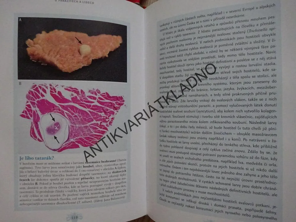 O PARAZITECH A LIDECH, VOTÝPKA, KOLÁŘOVÁ, HORÁK, **an