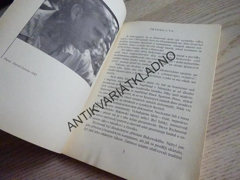 VZPOMÍNKY NA BUKOWSKÉHO, STEVE RICHMOND, **an
