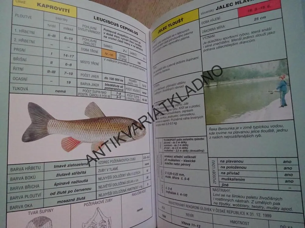 ATLAS NAŠICH RYB, OTTO POSPÍŠIL, **an