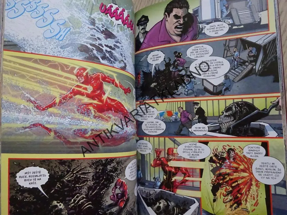 FLASH, NEJRYCHLĚJŠÍ MUŽ SVĚTA, KOMIKS DC COMICS, **an