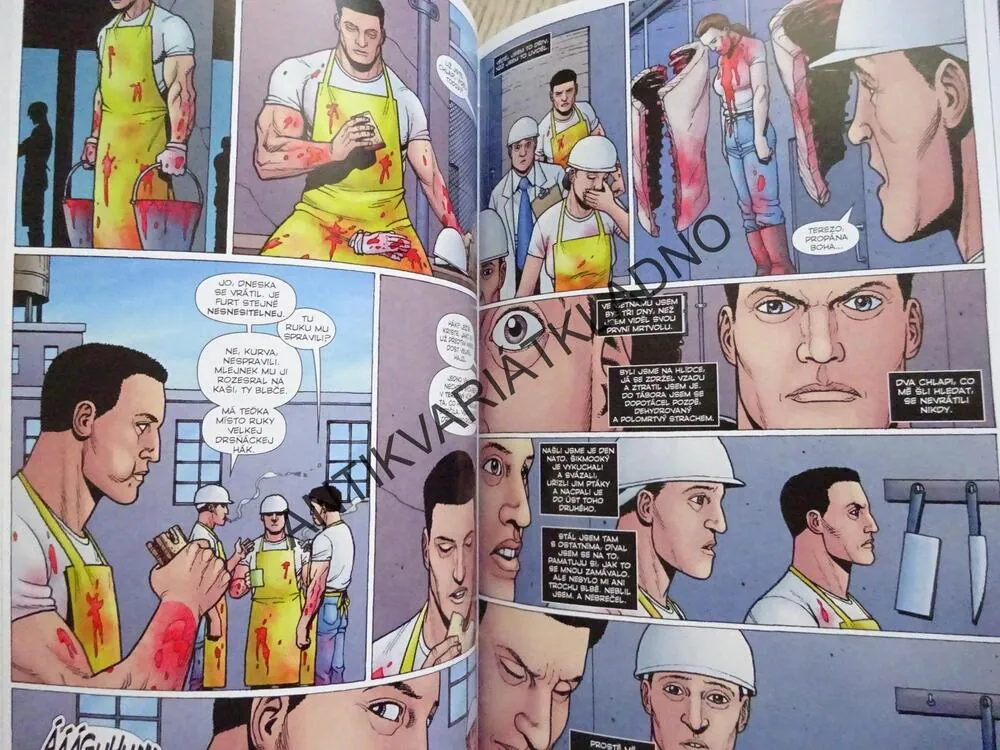 PUNISHER MAX: FRANK, KOMIKS, **an