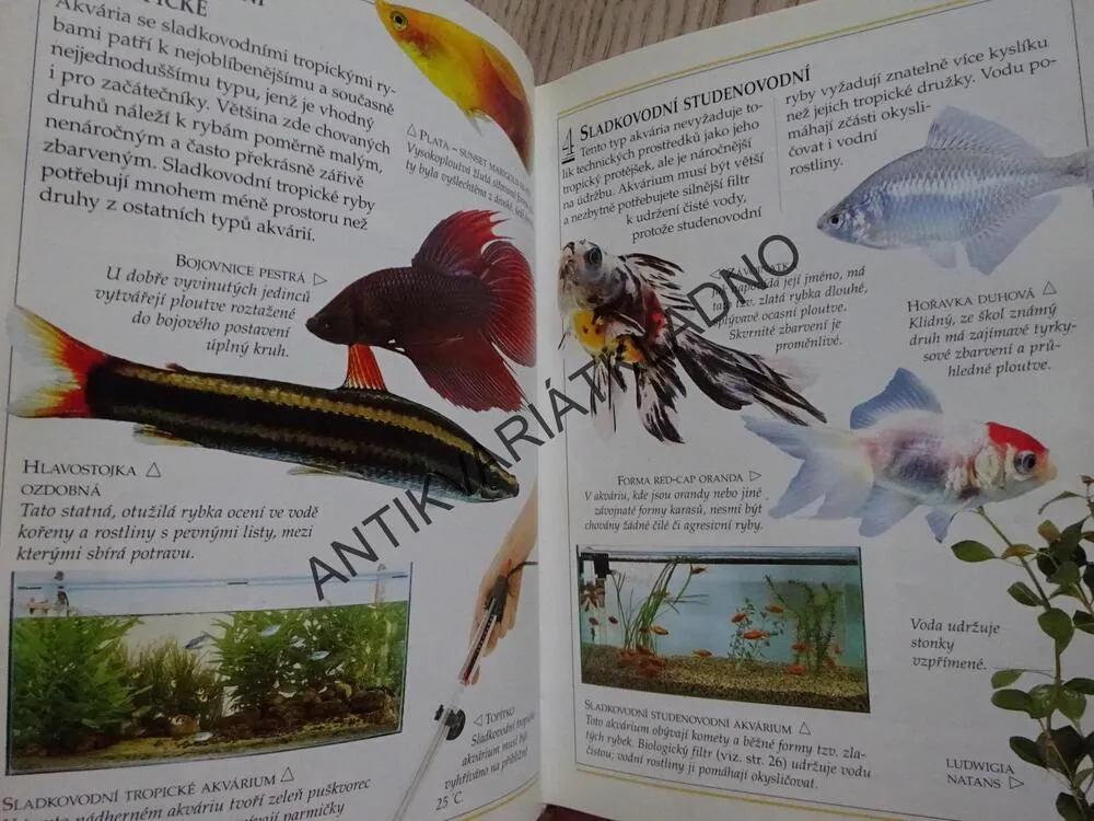 AKVARIJNÍ RYBY, 101 PRAKTICKÝCH RAD, **an
