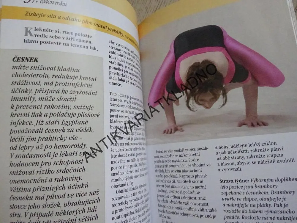 JÓGA PODLE ROČNÍCH OBDOBÍ, OLGA KRUMLOVSKÁ, **an