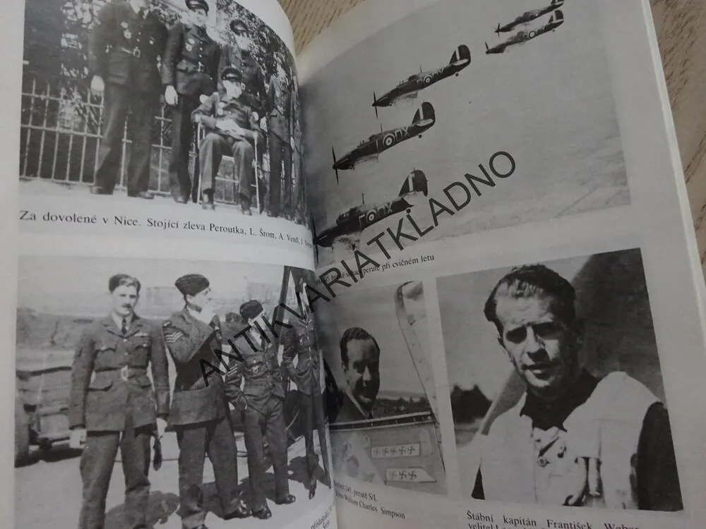 STÍHACÍ PILOT, JIŘÍ RAJLICH, JIŘÍ SEHNAL, **an 