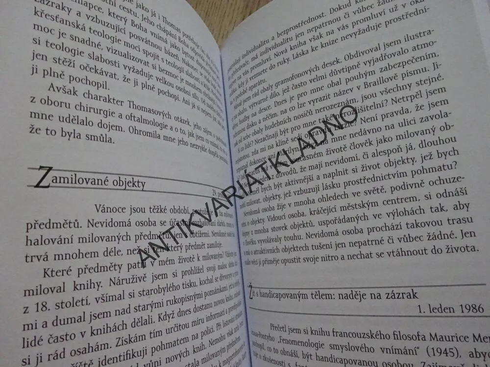 POUŤ DO ŘÍŠE SLEPOTY, DENÍKY PÁDU DO VĚDOMÍ, JOHN M. HULL, **an