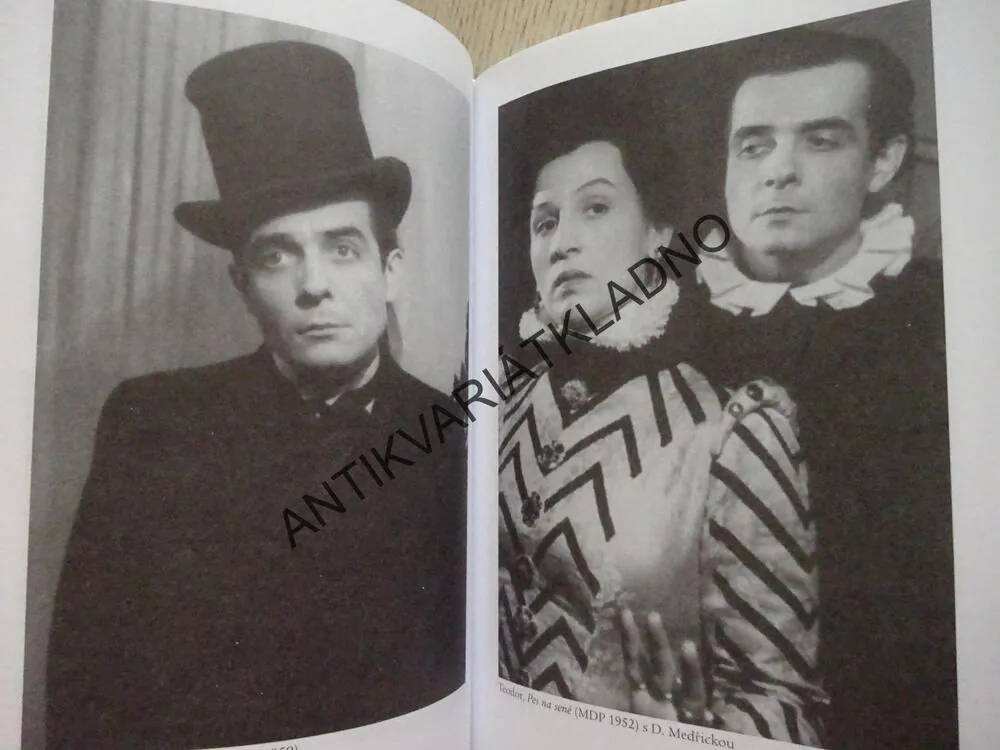 VÁCLAV VOSKA, INTELEKT A SRDCE, MARIE BOKOVÁ, **an