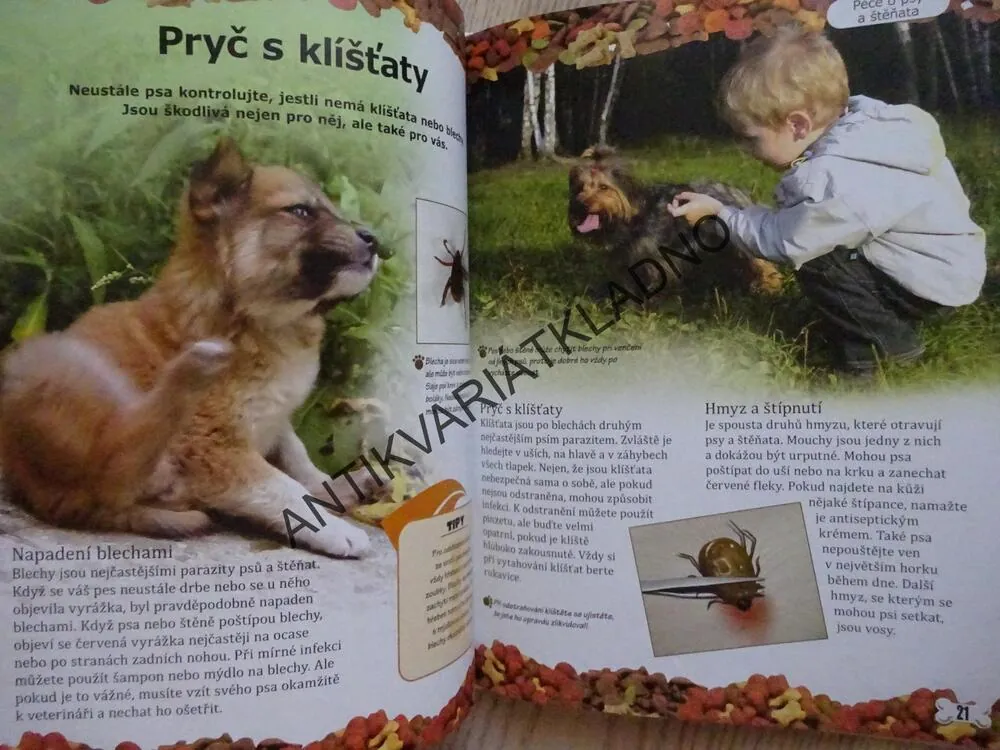 PSI A ŠTĚŇATA, **an