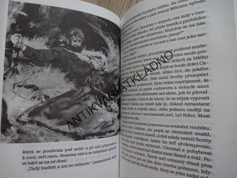 BÍLÝ BUVOL, WARREN H. MILLER, BURIAN, **an