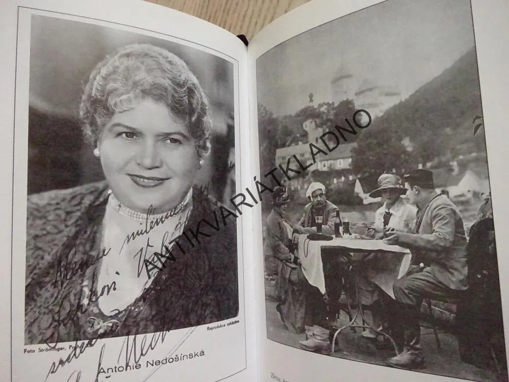 O VĚRNÉM FILMOVÁNÍ ANTONIE NEDOŠÍNSKÉ A THEODORA PIŠTĚKA, PAVEL TAUSSIG, **an