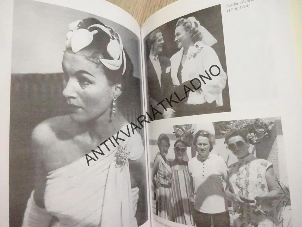 (NE)NÁVRATY ADINY MANDLOVÉ, VÁCLAV JUNEK, ADINA MANDLOVÁ, **an