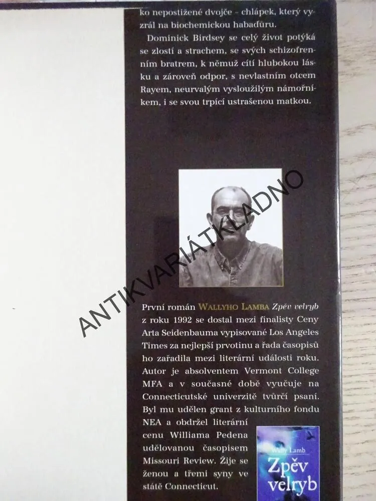 BLUDNÉ KRUHY, WALLY LAMB, **an