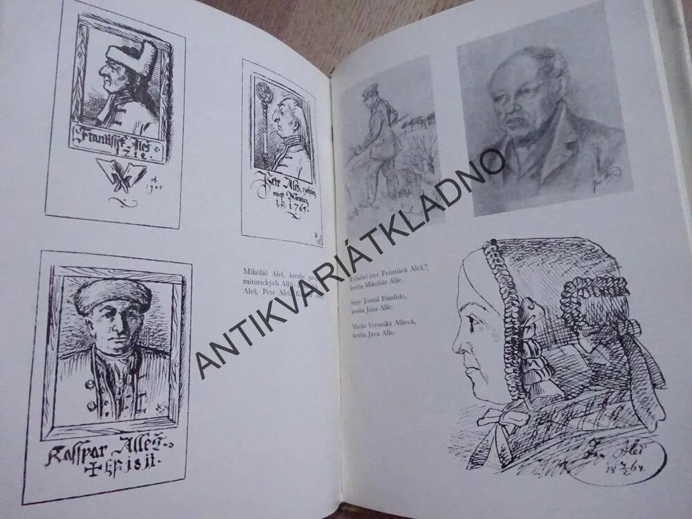 ROD PÍSECKÝCH A MIROTICKÝCH ALŠŮ, JAN TOMAN, **an