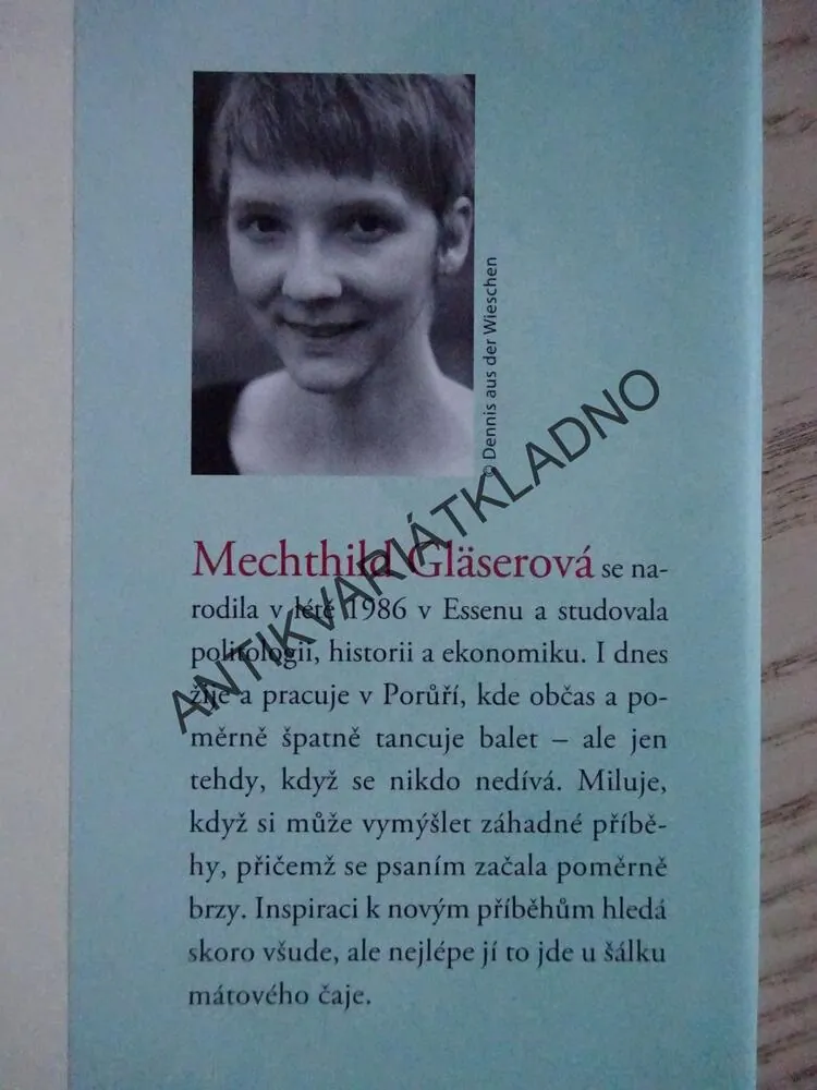 STRÁŽCI PŘÍBĚHU, MECHTHILD GLÄSEROVÁ, **an
