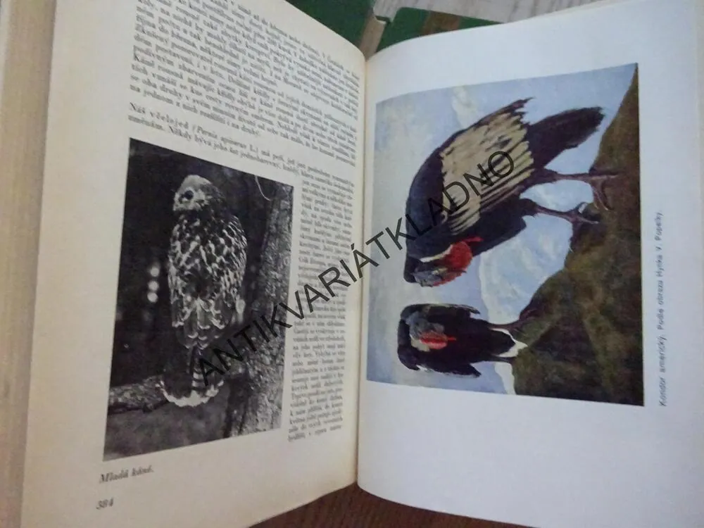 BREHM, BREHMŮV ŽIVOT ZVÍŘAT 1-4, **an