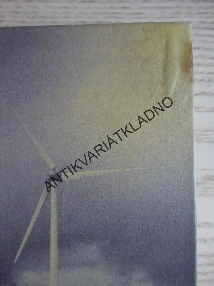 VE SLEPÉ ULIČCE, HENNING MANKELL, **an
