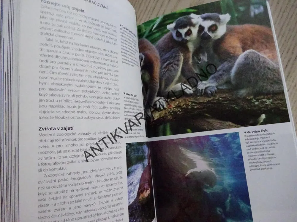 ZÁKLADY DIGITÁLNÍ FOTOGRAFIE, TOMANG, **an