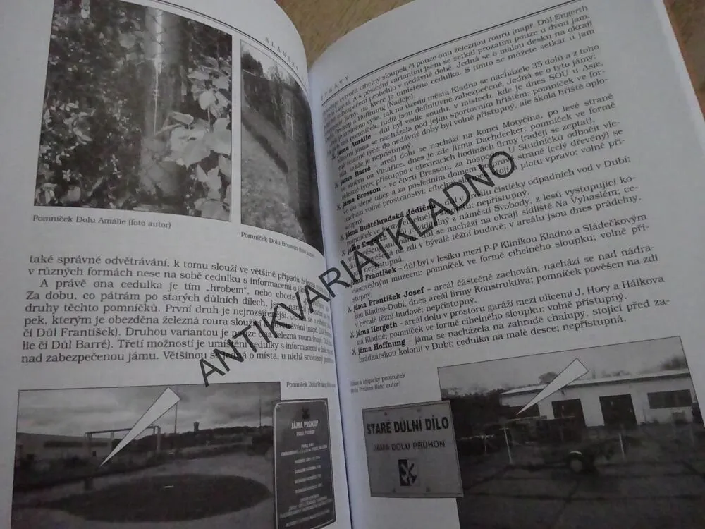 SLÁNSKÝ OBZOR, ROČNÍK 18 (118), ROK 2010, **an