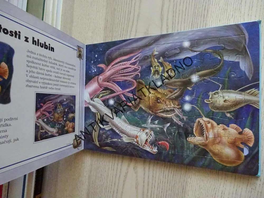 SVĚT MOŘÍ A OCEÁNŮ, LEE KRUTOP, **an
