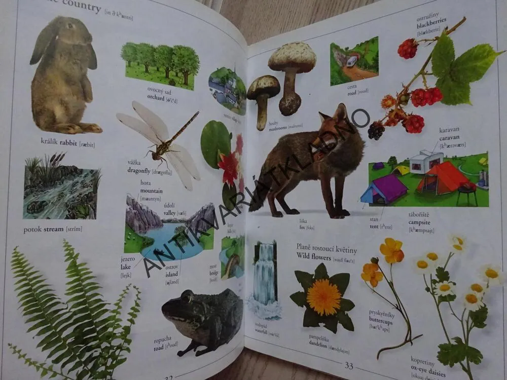 MŮJ PRVNÍ SLOVNÍK, ČESKO-ANGLICKÝ, **an