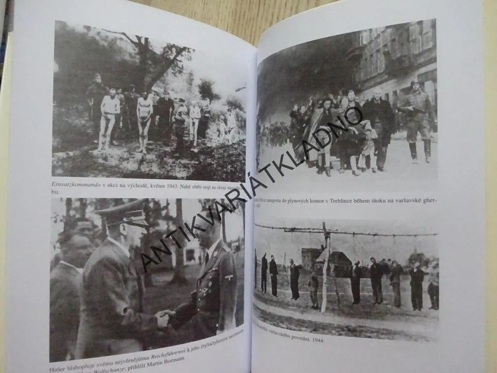 HEINRICH HIMMLER, REICHSFUHRER, PETER PADFIELD, **an