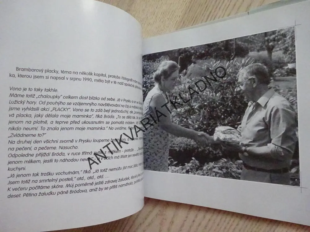 BRÓĎA VE FOTOGRAFIÍCH A VZPOMÍNÁNÍ PETRA NAŠICE, VLASTIMIL BRODSKÝ, MIROSLAVA BESSEROVÁ, **an