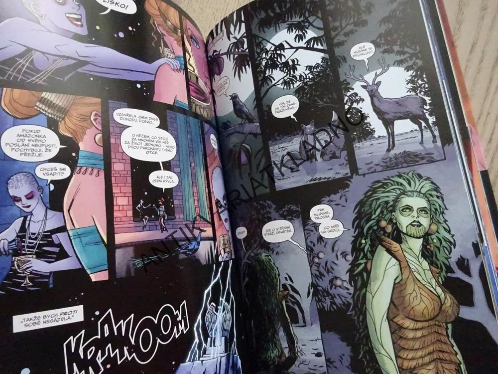 WONDER WOMAN, ODVAHA, KOMIKS DC COMICS, **an