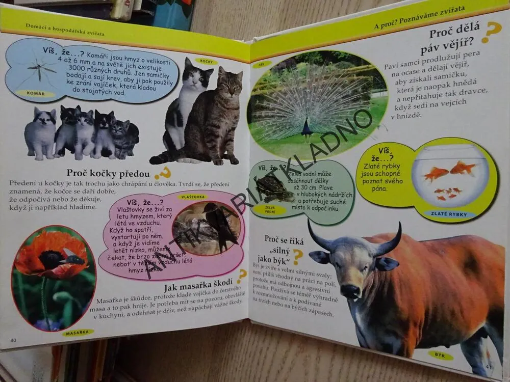 MOJE PRVNÍ KNIHA A PROČ?, POZNÁVÁME ZVÍŘATA, **an
