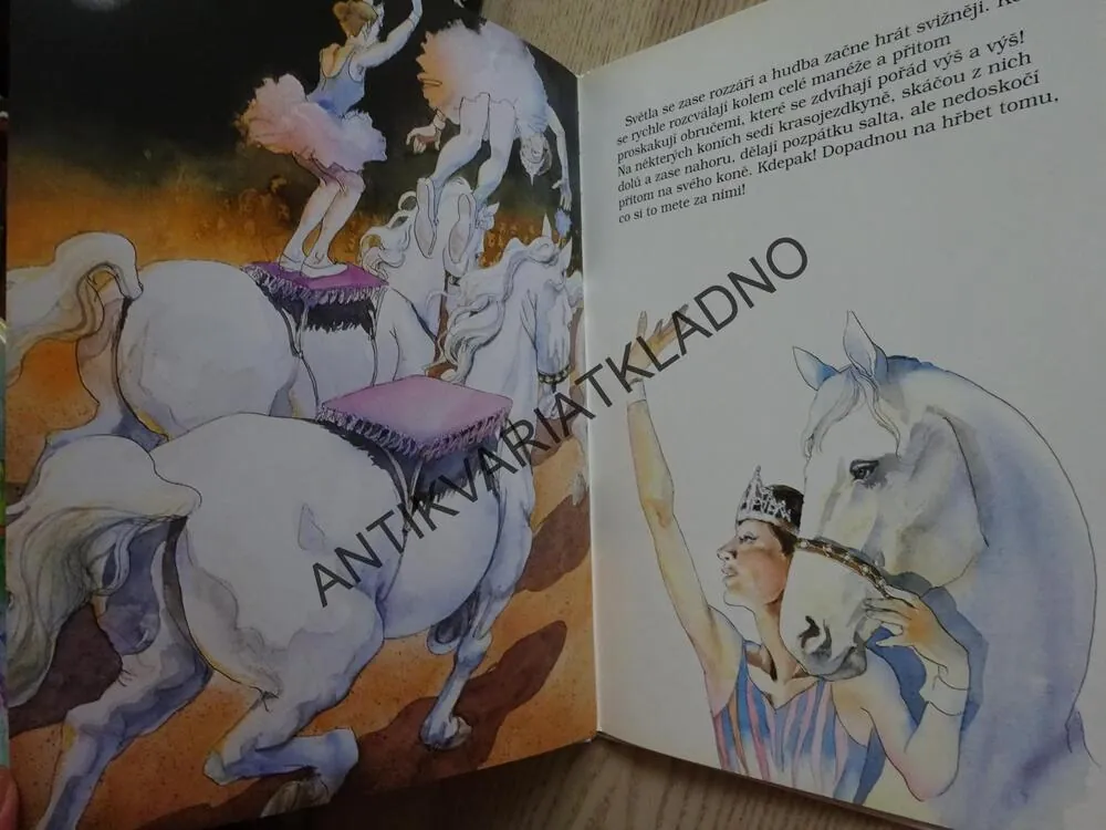SLEPIČÍ POLÉVKA PRO DĚTSKOU DUŠI, NEJSKVĚLEJŠÍ VEČER S MÝM TÁTOU, **an