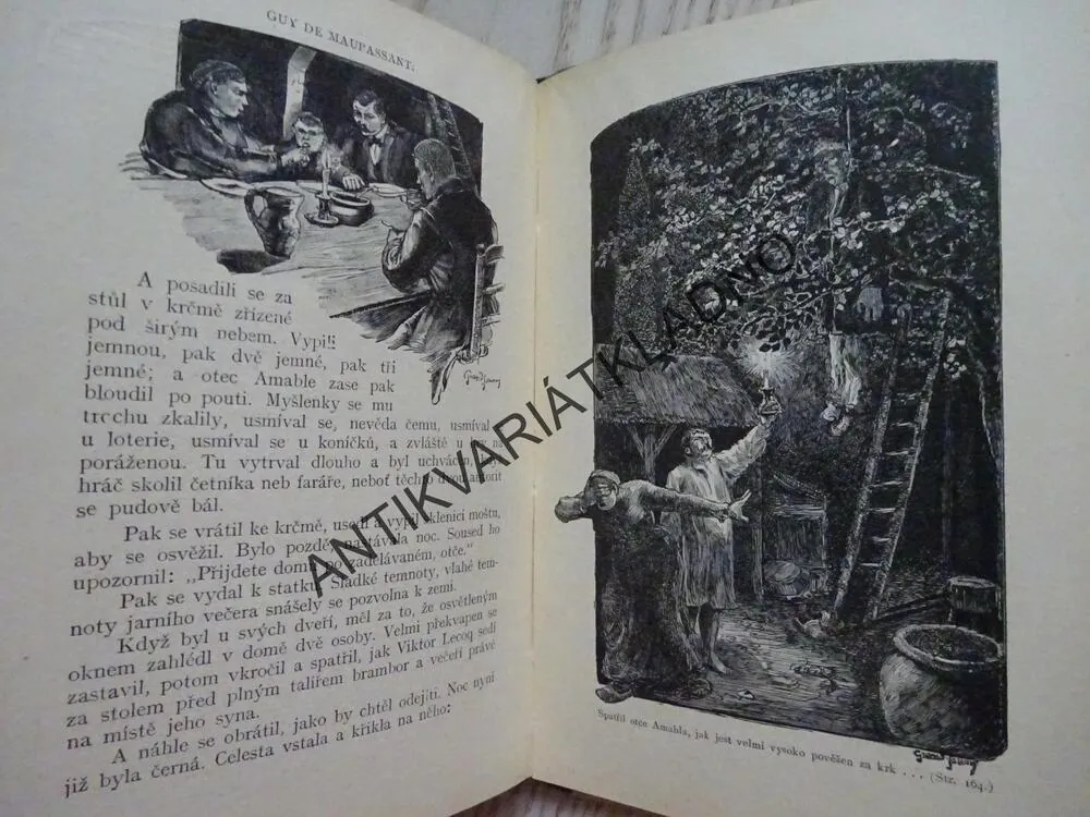 POVÍDKY O ŽENÁCH, GUY DE MAUPASSANT, **an