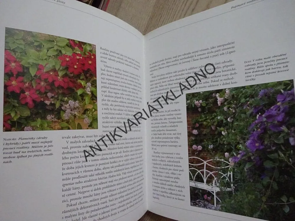 ROSTLINY PRO VAŠI ZAHRADU, SUSAN BERRY A STEVE BRADLEY, **an