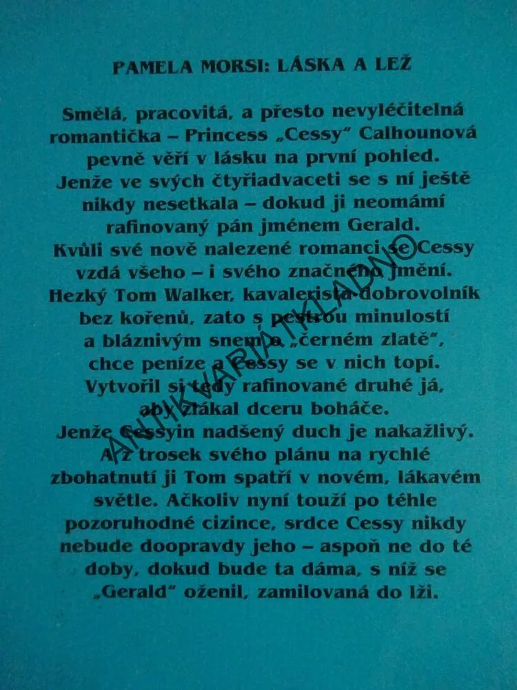 LÁSKA A LEŽ, PAMELA MORSI, **an