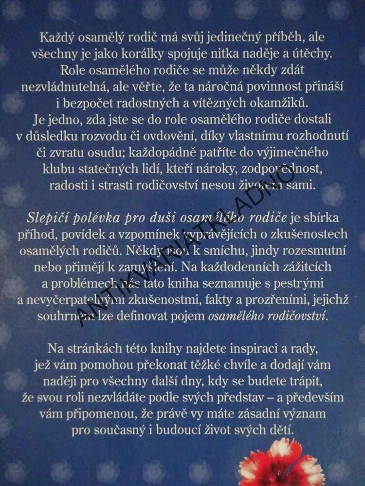 SLEPIČÍ POLÉVKA PRO DUŠI OSAMĚLÉHO RODIČE, JACK CANFIELD, MARK VICTOR HANSEN, **an