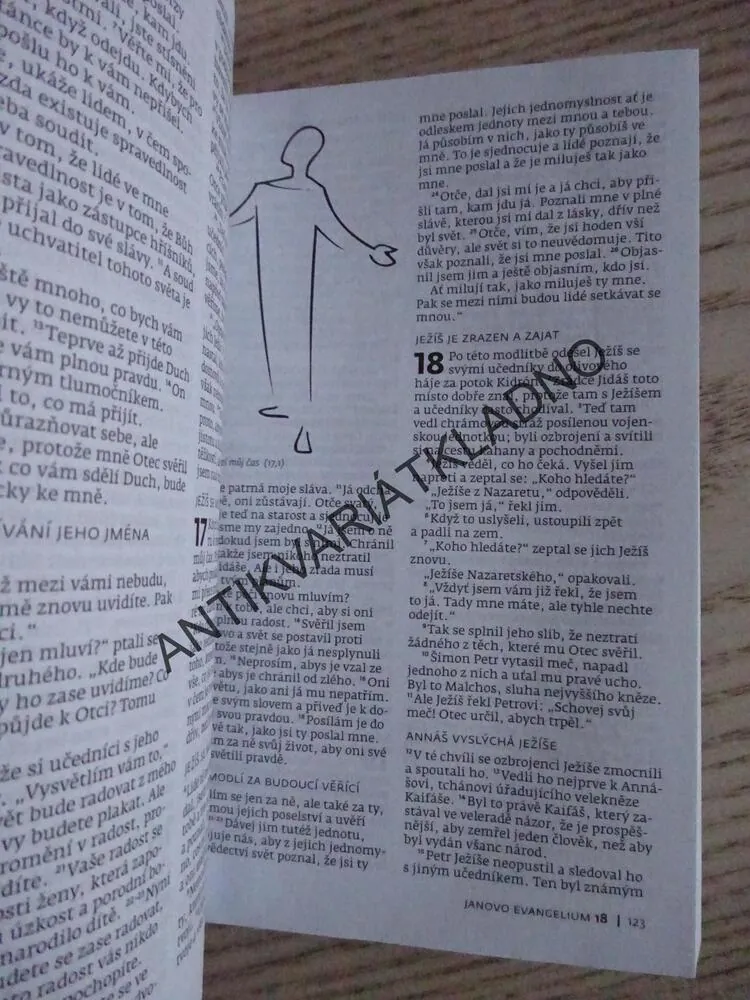 BIBLE, NOVÝ ZÁKON, **an