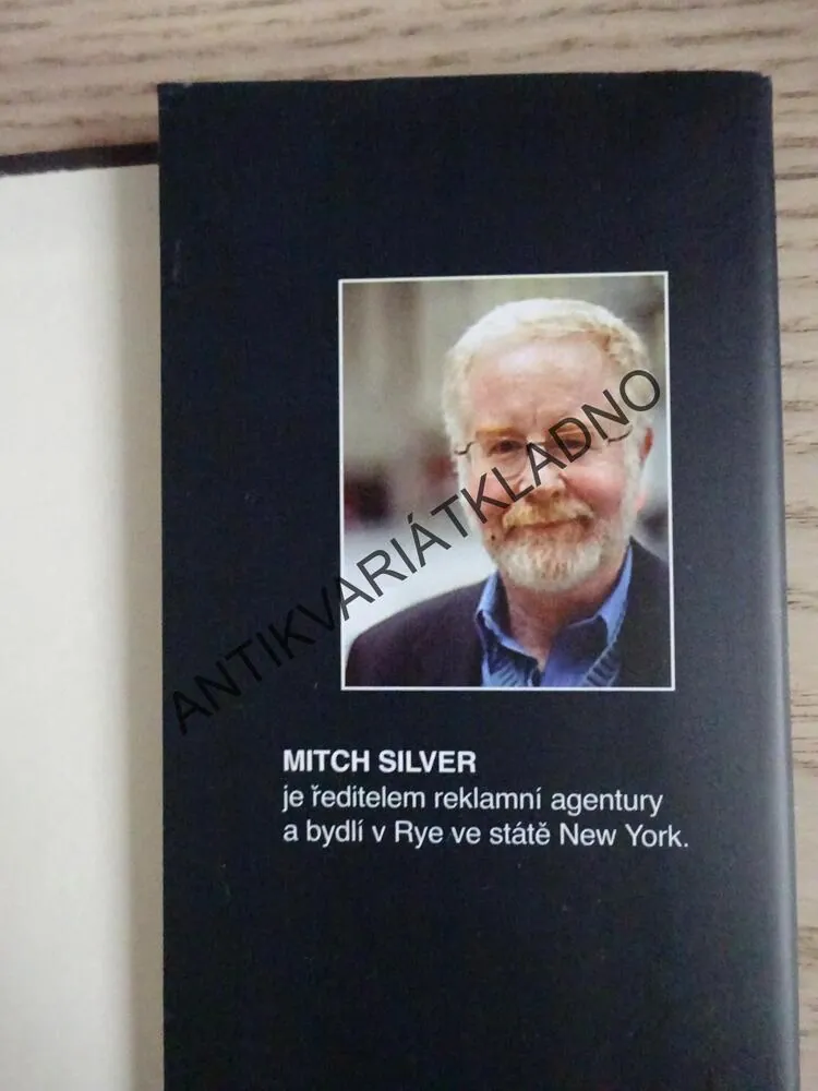 V TAJNÉ SLUŽBĚ, MITCH SILVER, **an
