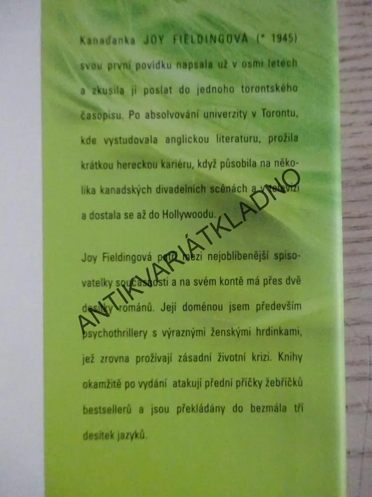 POVÍDEJ, CO VIDÍŠ, JOY FIELDINGOVÁ, **an