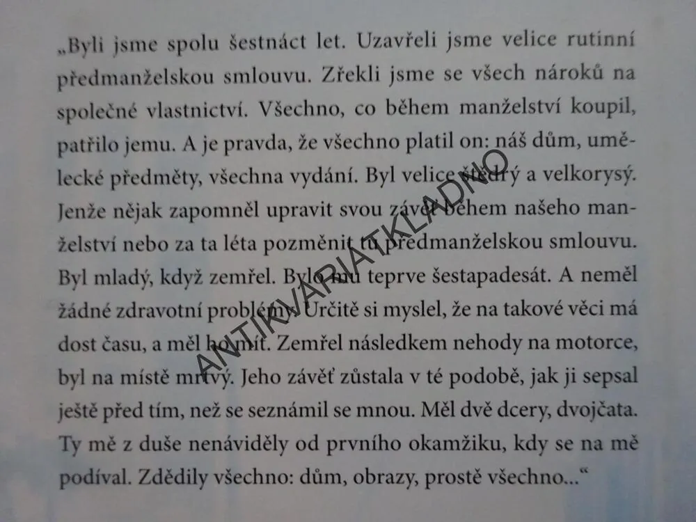 V NEMILOSTI, DANIELLE STEEL, **an