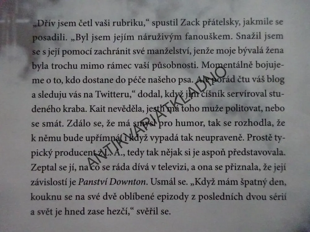 V HLAVNÍ ROLI, DANIELLE STEEL, **an