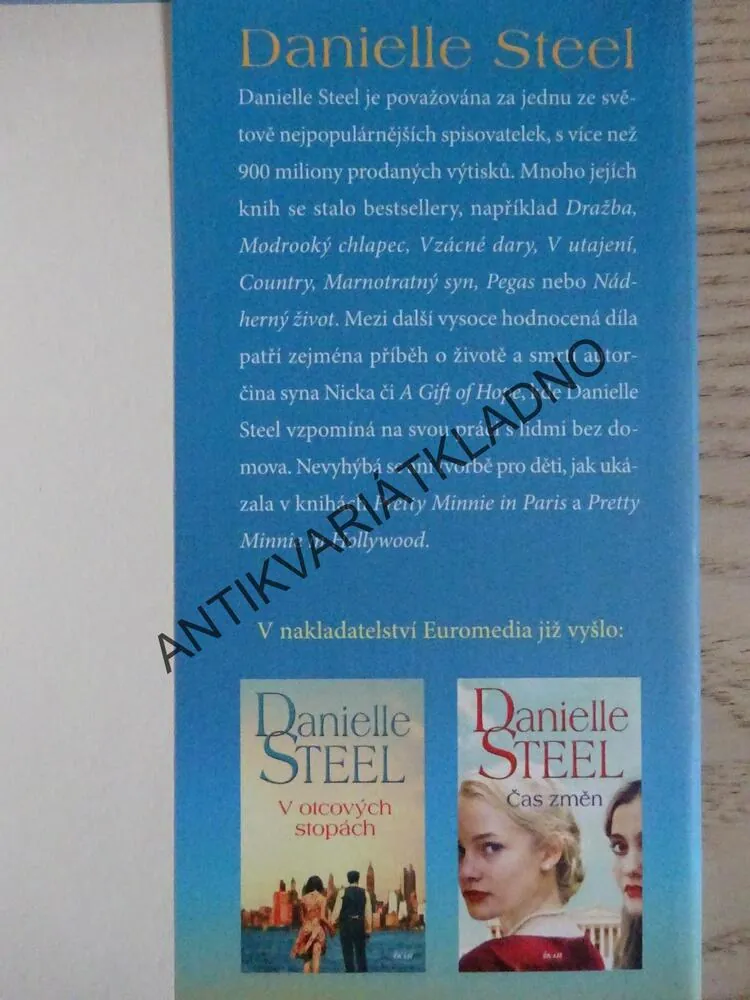 ŠTĚSTÍ V NEŠTĚSTÍ, DANIELLE STEEL, **an