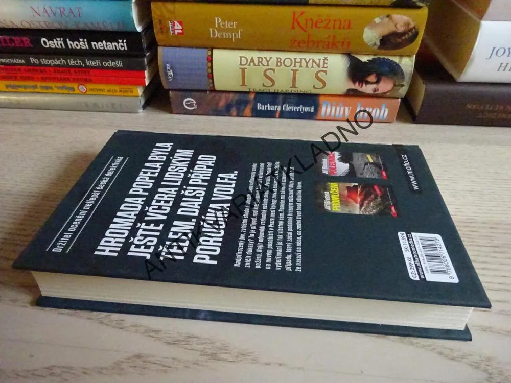 VZPLANUTÍ, JIŘÍ BŘEZINA, **an